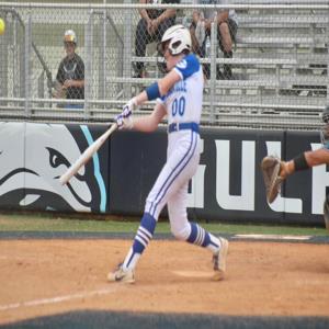 Callie Dillard mugshot