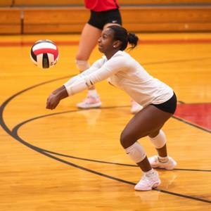 Faith Johnson mugshot