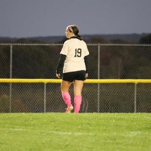 Rilyn Sattler mugshot