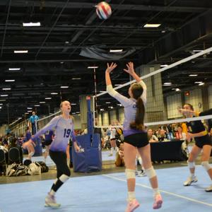 Leila Tooloee mugshot