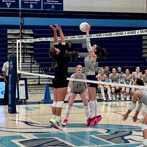 Olivia Bellamy mugshot