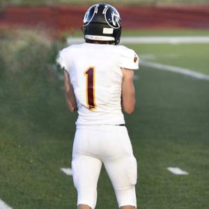 Nick Vigil