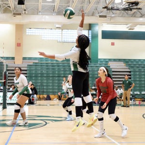 Isabella Hampton mugshot