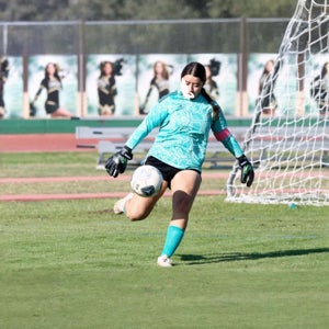 Siyenna Gamboa mugshot