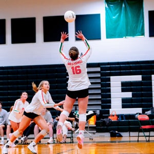 Stella Neels mugshot