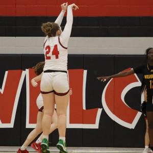 Eve Viuhkola mugshot