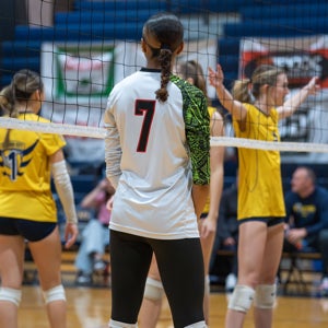 Alana Wilson mugshot