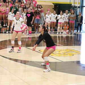 Sage Kushner mugshot