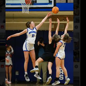 Elizabeth Wynn mugshot