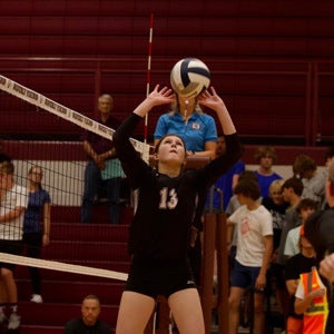 McKinley Moser