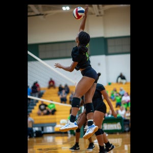 CAYLYNN WISNER