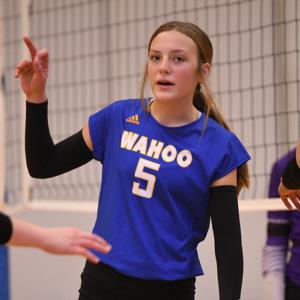 Audrey Waido mugshot