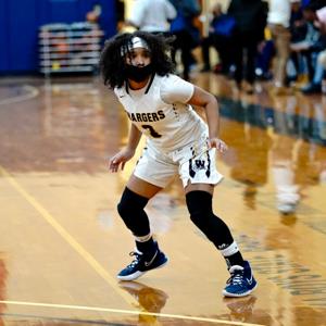 Shaelyn Johnson mugshot