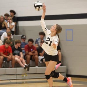 Anna Perdue