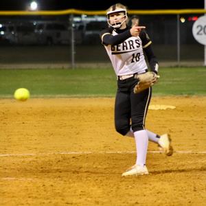 Elizabeth Johnson mugshot