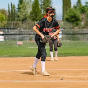 SCARLETT POITRA mugshot