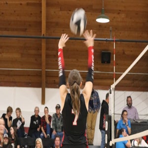 Addyson Wyatt mugshot