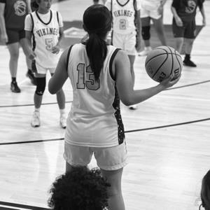 Roxana Chavez mugshot