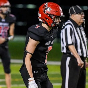 Gino Patrisso mugshot