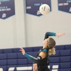 Sofiia Sobol mugshot