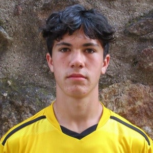 Chris Wells
