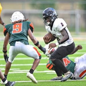 Courtney Wallace mugshot