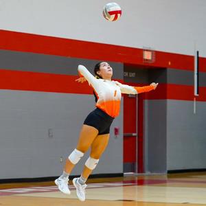 Aissa Villarreal mugshot