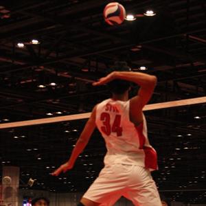 GAVIN HAMILTON
