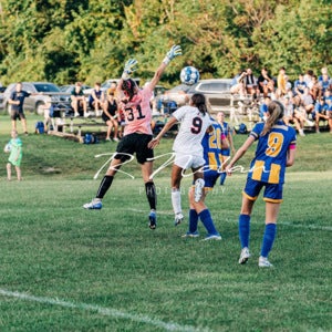 Aaliyah Siegel mugshot