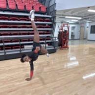 Jaynea Manning mugshot