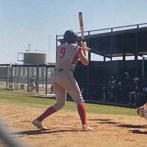 Madalynn Michaels mugshot