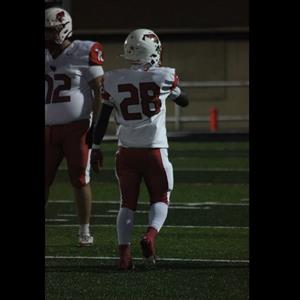 Demarion Robinson mugshot