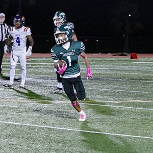 Andre Ardizzola mugshot