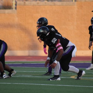 Roman Pulefaasisina mugshot