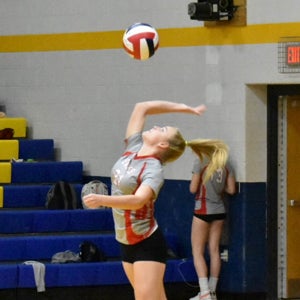 Andie Bevenour