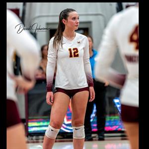 Avery Williams mugshot