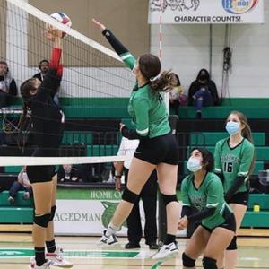 Natalie Gomez  mugshot