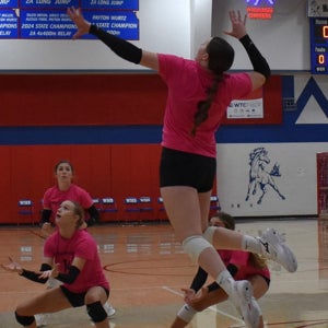 Abby Packard mugshot