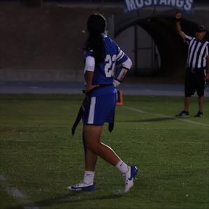 Dania Rodriguez mugshot