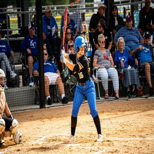 Taylor Parks
