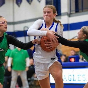 Elyse Snively mugshot