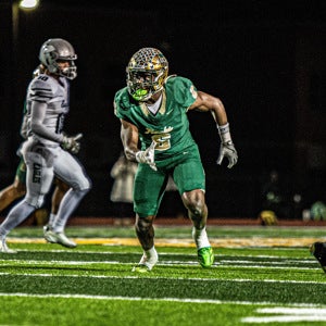 Olumide Fapetu mugshot