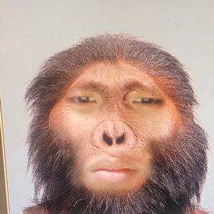 Jaiden Atienza