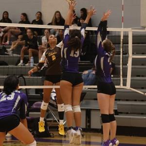 Iris Silva-Berg mugshot