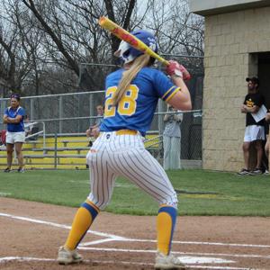 Addyson Smith's Canon-McMillan High School Bio