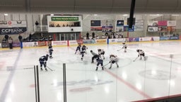 Chippewa Falls girls ice hockey highlights Hudson High School