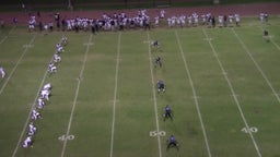 Miller Grove football highlights vs. Cedar Grove