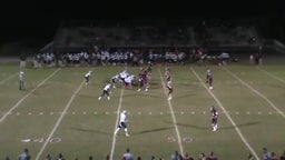 Tj Williams's highlights vs. Wiregrass Ranch