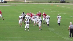 Hawkinsville football highlights vs. Taylor County High