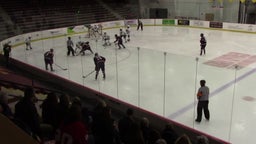 St. Francis ice hockey highlights St. Mary Catholic Central